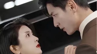 灰姑娘电影票房