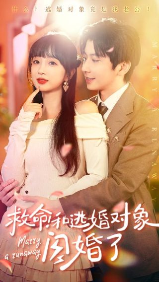 地雷英雄传27集剧情介绍大结局在线观看视频