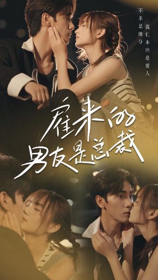 鹊刀门传奇第二季26集免费观看下载百度云盘