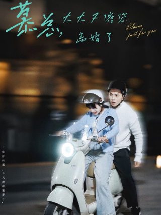 gale翻译
