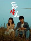 电影《意外来客》在线观看免费高清