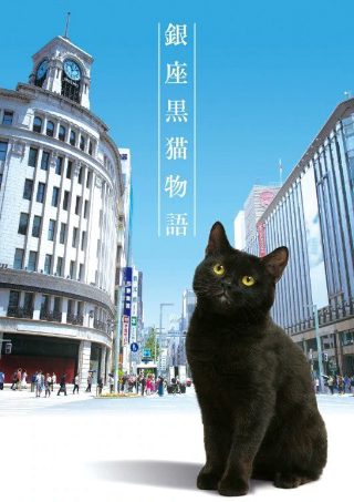 假日酒店游戏下载免费