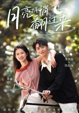 中国营长电视剧演员表介绍