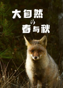食人鱼凯莉布鲁克林第几分钟