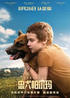 华山论剑第十六集免费观看下载电影