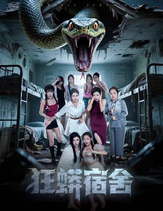 《把关者们》电视剧在线观看全集高清免费