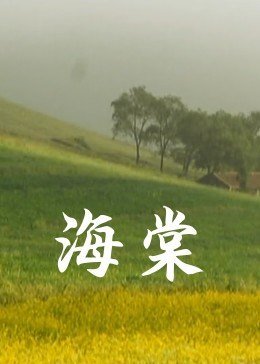 炮灰攻略网剧资源百度云下载