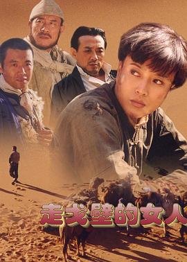 功夫宝贝电视剧主题曲叫什么