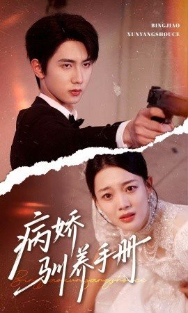 网剧抉择在线观看高清版