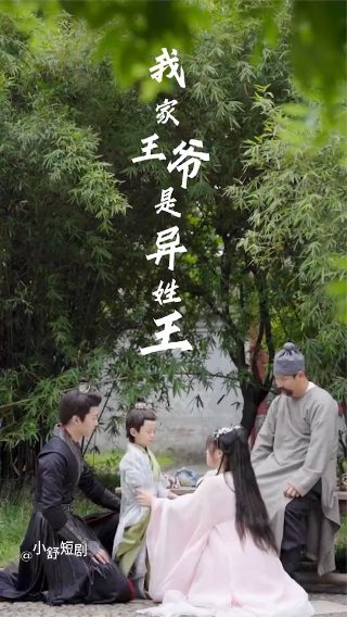 丈母娘来了30集