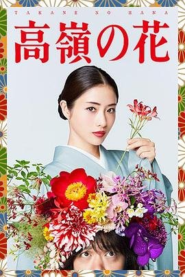 人鱼小姐第156集免费观看视频