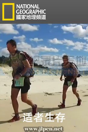你的天空12集在线看免费版