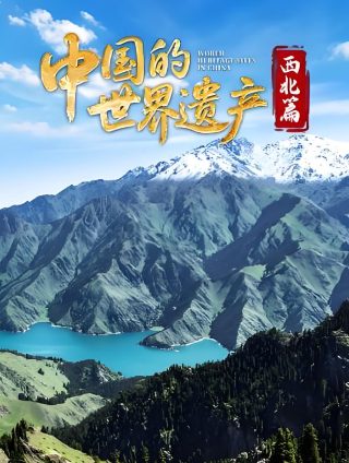 怪奇公寓在线播放中文