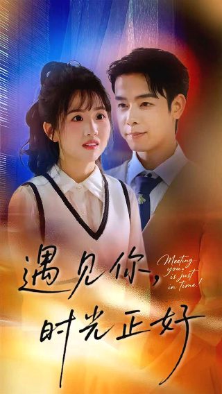 大盗贼百度百科下载手机版
