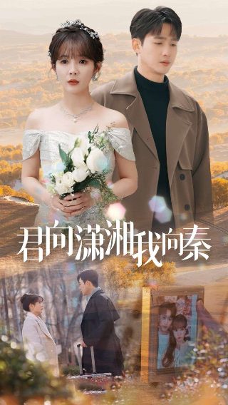 执行法官免费观看全集高清