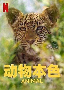 重生电视剧免费观看全集网站大全