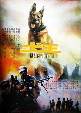 米尔扎布尔第二季豆瓣