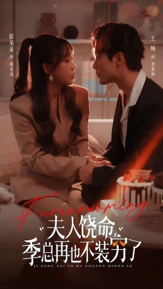 星语心愿之再爱免费播放电视剧全集在线观看