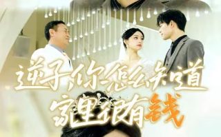 娑婆诃国语