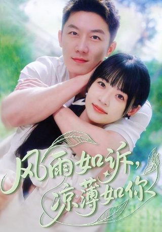 秘密的男人大结局什么意思啊