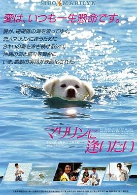 2015霸道总裁电视剧免费观看下载百度网盘资源
