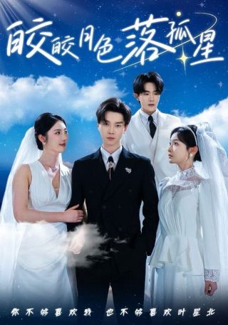 瓦利安特王子大丽花