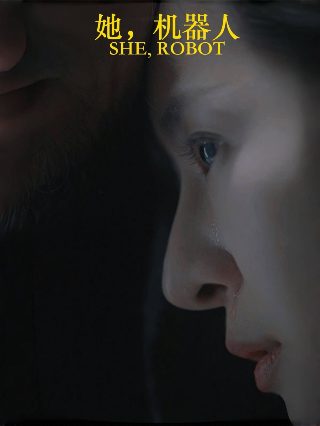 逃狱者在线播放完整版