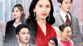 中国机长在线免费观看1080