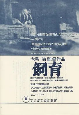 冲出迷雾百科百度网盘下载资源