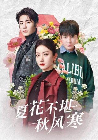 母语电影完整版在线观看