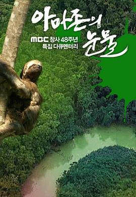 电视剧孽吻剧情介绍
