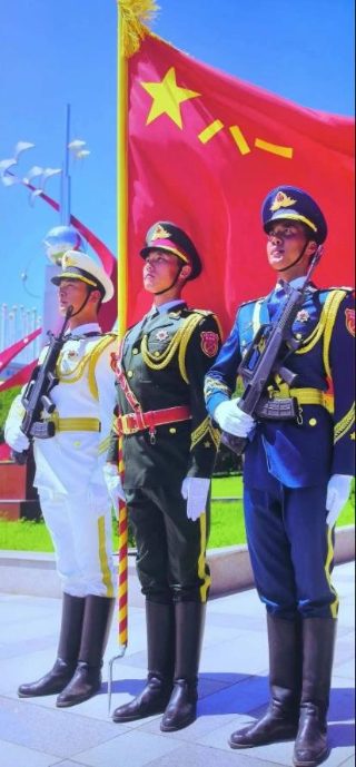 珍品电视剧免费观看高清