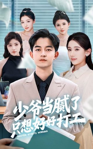 女婿演员表大全