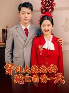 少帅48集全免费
