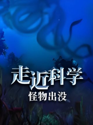 石纪元第4季全集免费观看17集视频