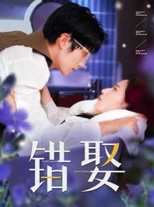 青春之歌概括200字