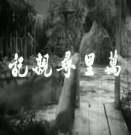 重庆森林豆瓣评分多少分
