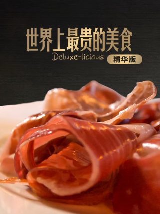 光荣大地 在线播放完整版高清免费观看