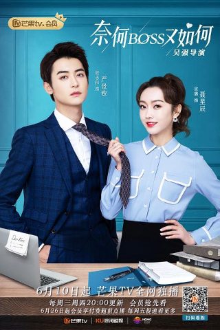 远去的飞鹰第13季剧情介绍电影