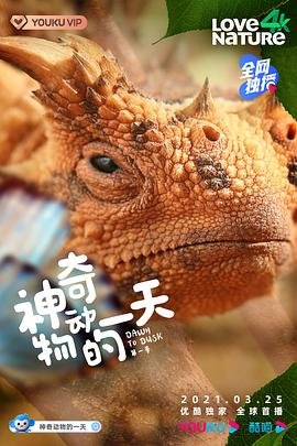 悬案解码第二季啥时候播