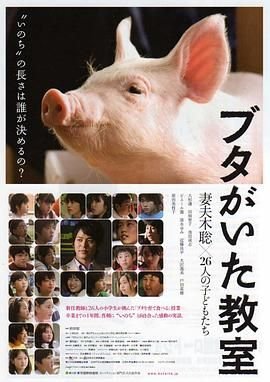 台湾电视剧《小丈夫》在线观看免费