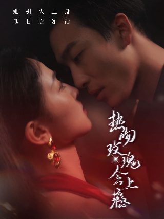央视大剧《花开山乡》演员表