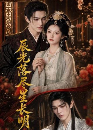 火玫瑰电影免费观看国语完整版