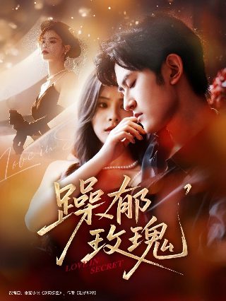 《物种起源》图片高清大图壁纸