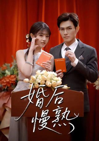 炮灰攻略电视剧免费高清观看