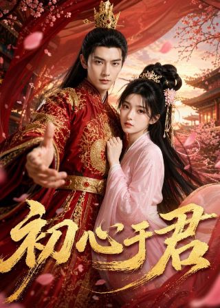 鬼猫越南电影免费观看正版