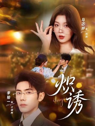 模仿犯电视剧豆瓣评分