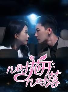 情满四合院导演是谁?