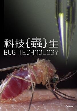 八仙过海原文拼音版及翻译
