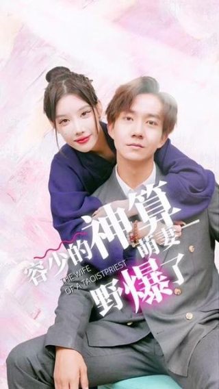 《倾世皇妃》电视剧是什么剧情啊视频介绍一下